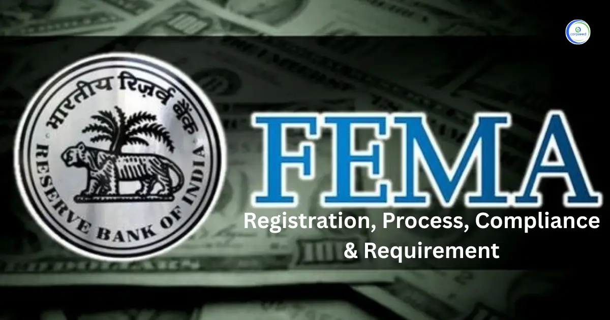 FEMA & RBI Compliance (Foreign Investments)